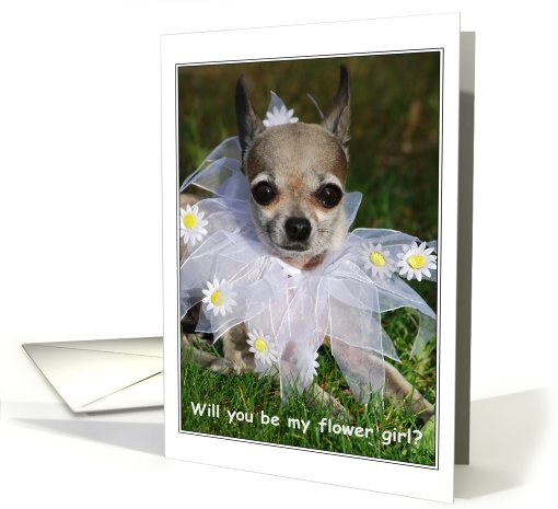 funny chihuahua dog wedding love friend card (409397)