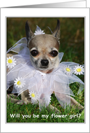 funny chihuahua dog wedding love friend card
