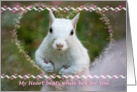 Happy Valentine’s Day White-Hot Squirrel card