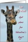 Giraffe Valentine plans for Jan the Man! card