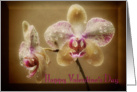 Happy Valentine’s Day Orchid couple card