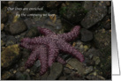 Starfish embrace Earth Day card