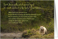 Spirit Bear card