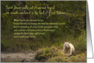 Spirit Bear card