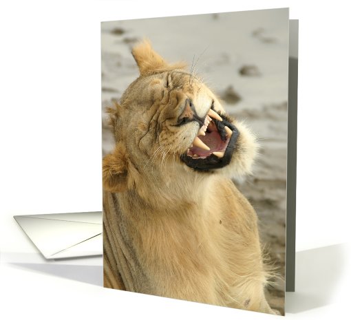 Simba Smile card (431895)