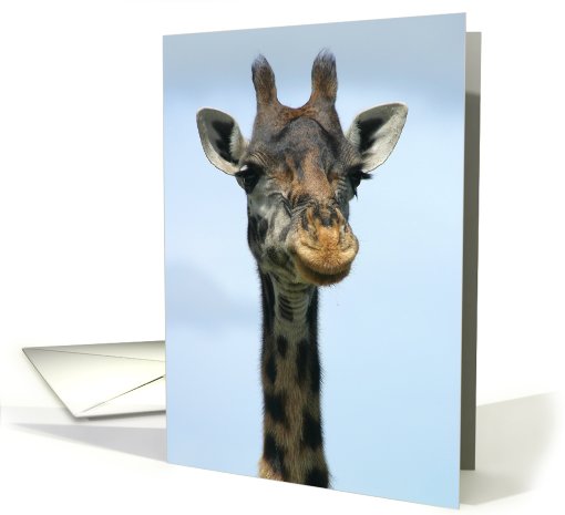 Giraffe headshot card (431910)