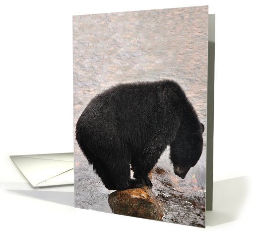 Black bear tiptoes card (431913)