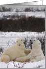 Polar Bears telling jokes card