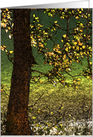Crown Lake painted card