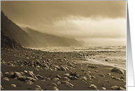 Shelter Cove storm card