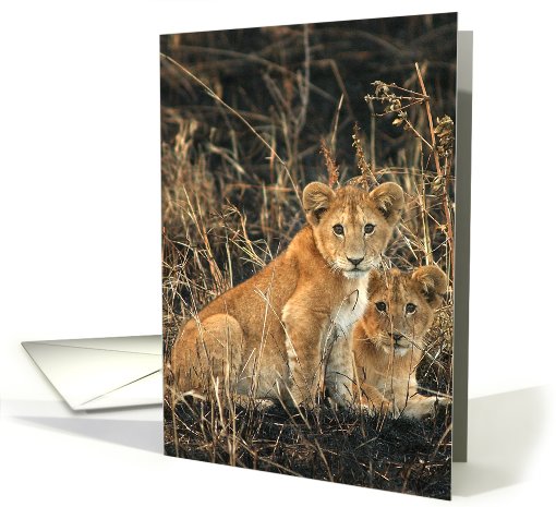 Simba kids card (434539)