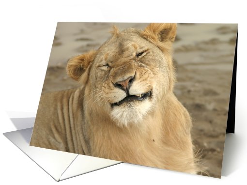 Simba Grimace card (435166)