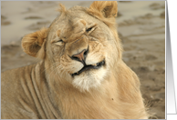 Simba Grimace card