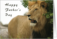 Leo conquers Father’s Day card
