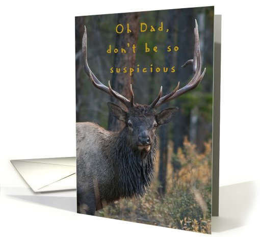 Bull Elk smirks at Father's Day card (436112)