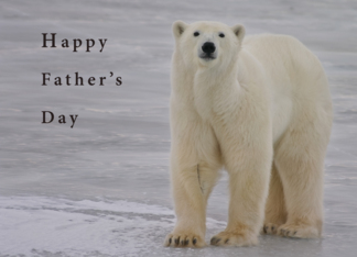 Father's Day on ice
