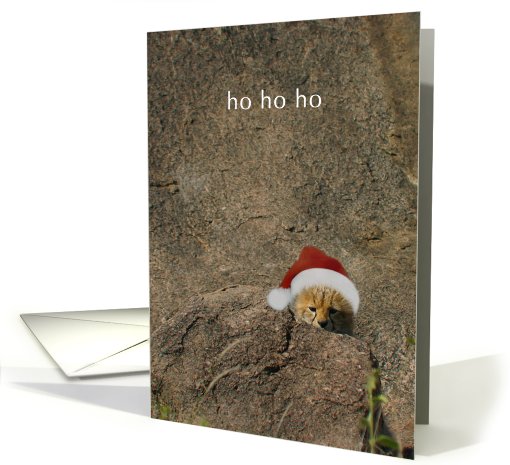 Shy but merry cheetah cub card (523598)