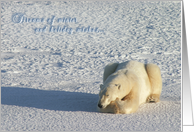 Polar holiday dreams