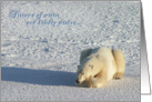 Polar holiday dreams card