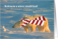 Polar wonderland walk card