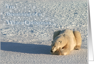 Polar White Christmas Dreams card