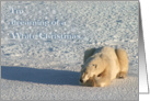 Polar White Christmas Dreams card