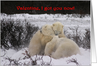 Polar Valentine bear hug card