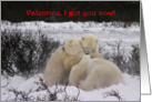 Polar Valentine bear hug card