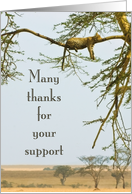 Many thanks for your support card