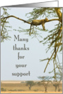 Many thanks for your support card