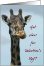 Giraffe Valentine plans card