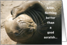 Elephant seal ivy itch card