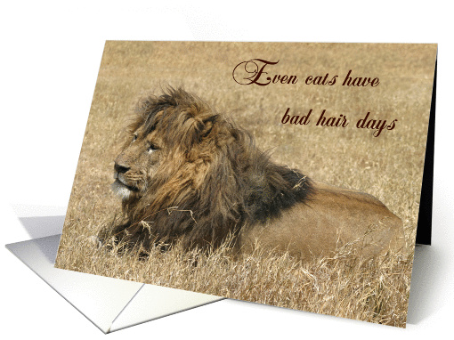 Even cats have bad hair days card (561834)