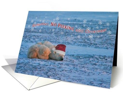 No peeking until Christmas card (733326)