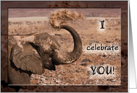 Elephant celebrates Your Birthday card