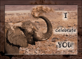 Elephant celebrates...