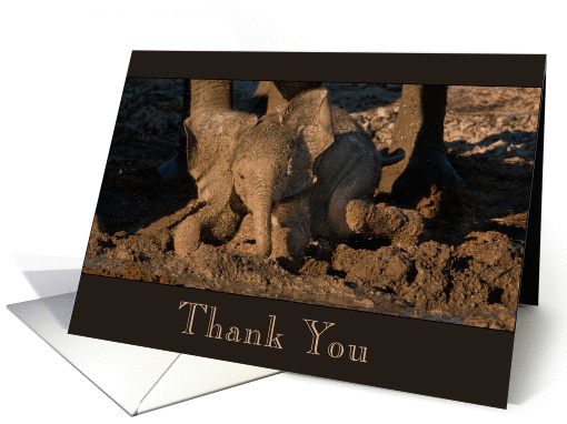 Baby Elephant Thanks you for Coming to my Party card (743982)
