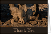 Baby Elephant Thanks you for Coming to my Party card
