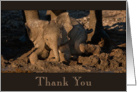 Baby Elephant Thanks you for Coming to my Party card