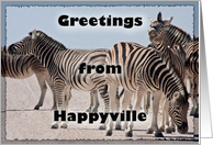 Zebra Greetings from...
