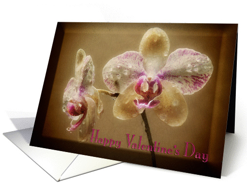 Happy Valentine's Day Orchid couple card (896270)