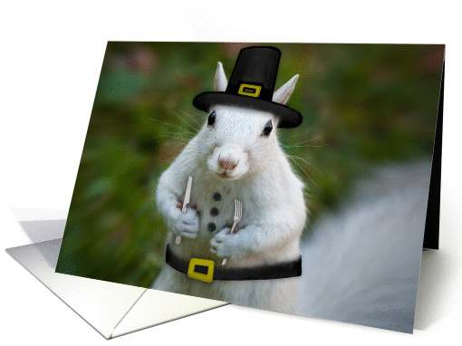 Thanksgiving White Squirrel in pilgrim costume card (949547)