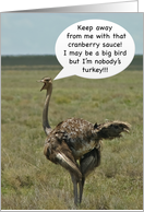 Ostrich advice for a...