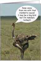 Ostrich advice for a Happy Thanksgiving card