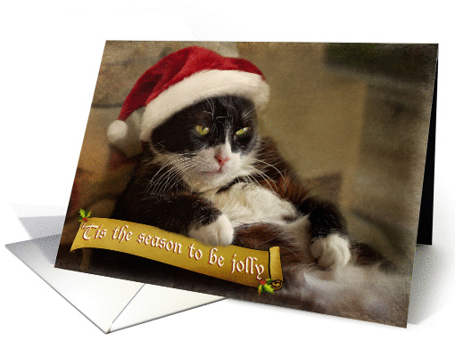 Holiday cat sits fat and jolly card (973745)