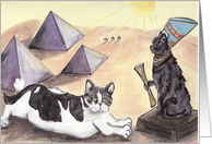 Gatos Gone Giza