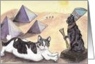 Gatos Gone Giza card