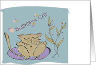 Yoga Buddha Cat