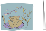 Yoga Buddha Cat card