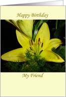 Yellow lilly card